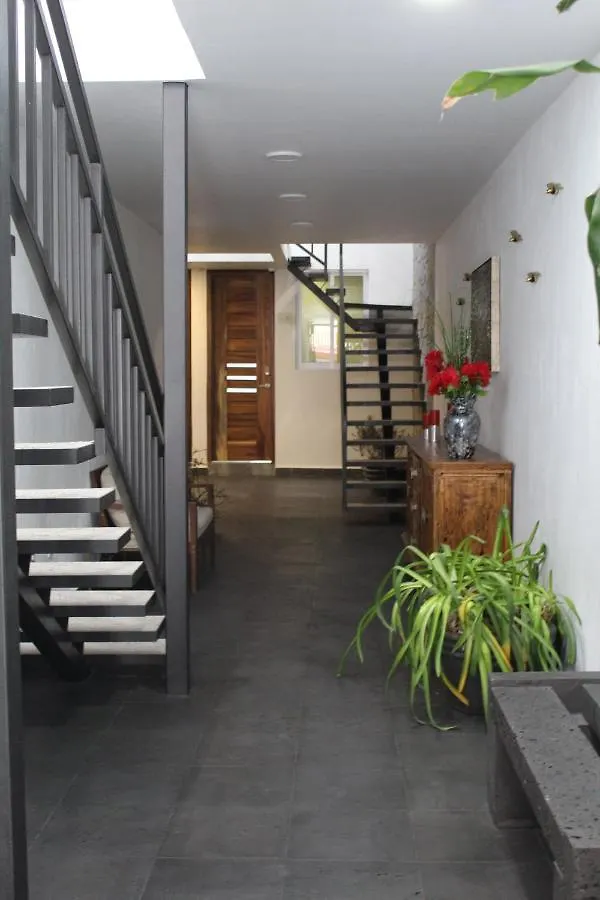 Colomos Living Hotel Guadalajara Mexikó